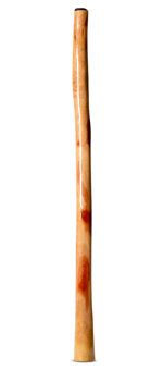 Epoxy Resin Finish Didgeridoo (TM396)